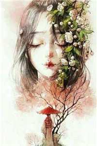 女主林菲菲