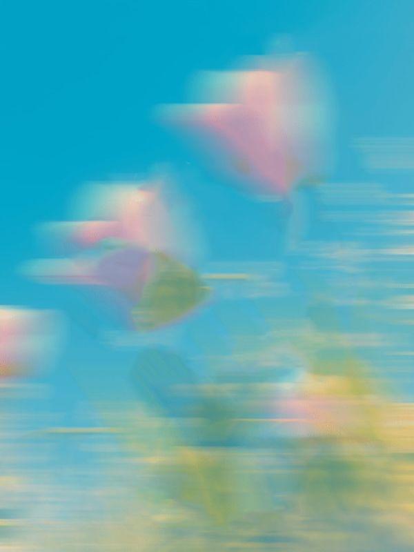 王利芬对话
