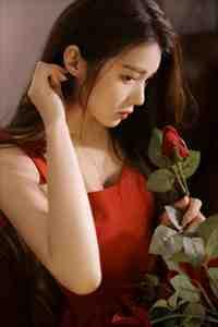 杨晓晓免费阅读