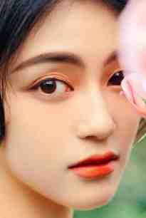 连翘10