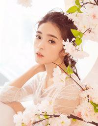 何翠花简历