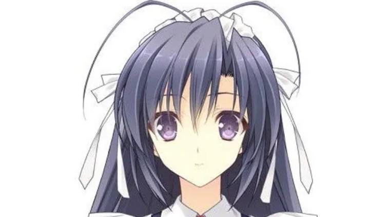 星露娜兔子