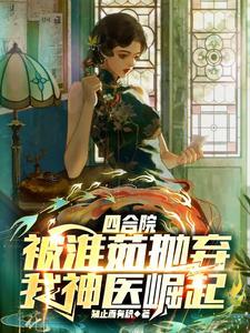 四合院偷我文件
