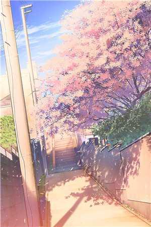 男主叫苏辞