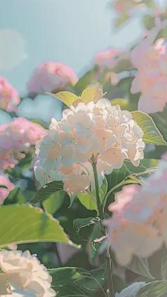 沈宁顾司廷