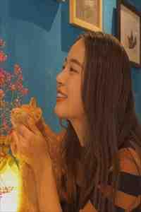 女主冷月儿穿越
