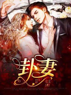 女主叫叶晚柠