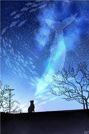 女主江雨柔男主萧战的