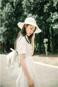 杨凡林清月女武侯