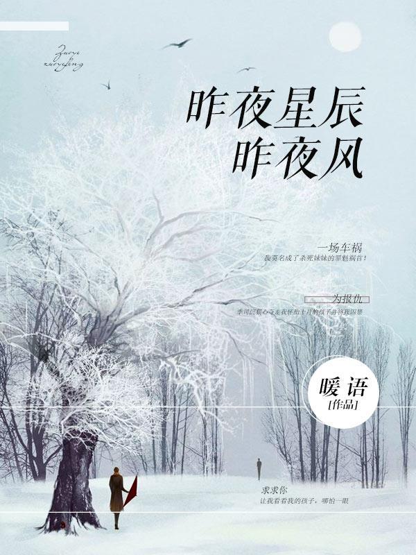 爱情随遇而安全文免费阅读