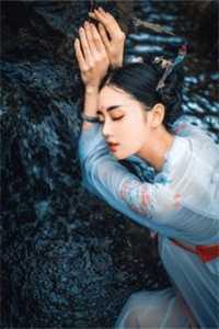 王大鹏的电视