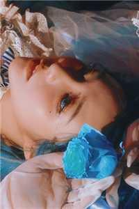 沈棠眠宋闻璟全集免费