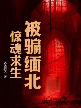缅北诈骗事件