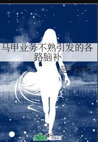 马甲什么意思