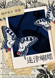 迷蝴蝶电影解析