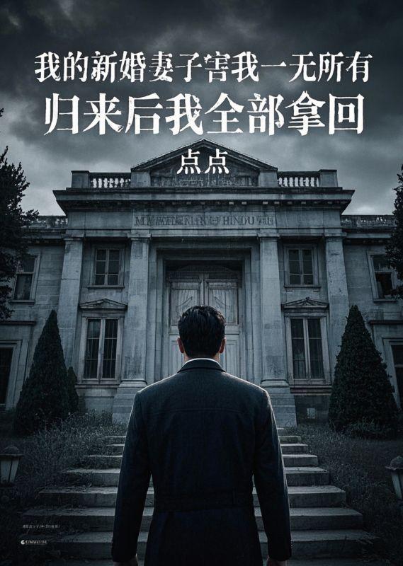 我的新妻怎么回事