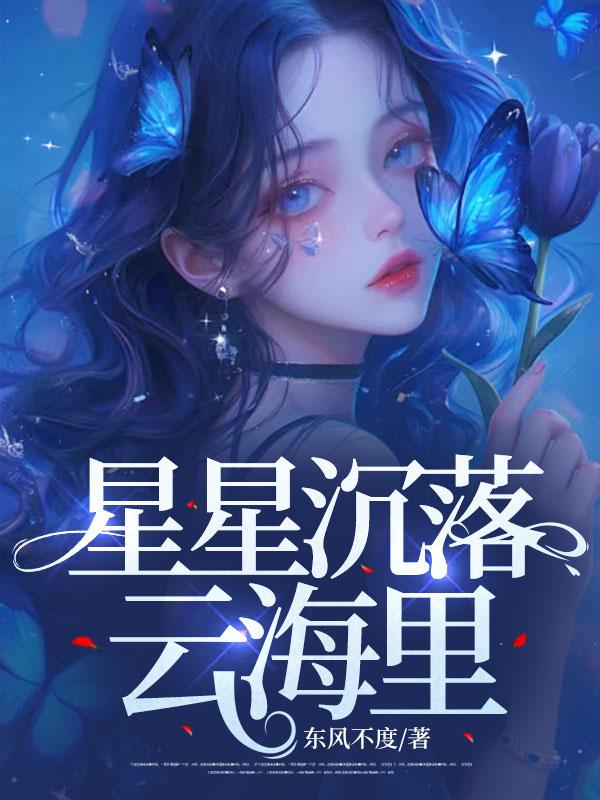 星星沉落云海里txt