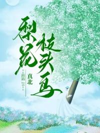 梨花枝歌曲