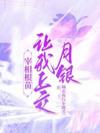 宰相要从良