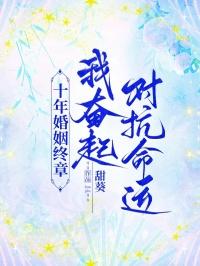 十年婚姻免费阅读