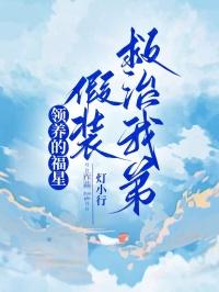 领养星星的孩子