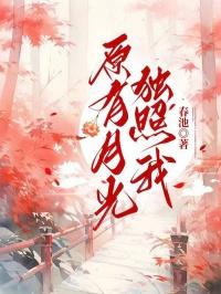 月光高悬不独照我