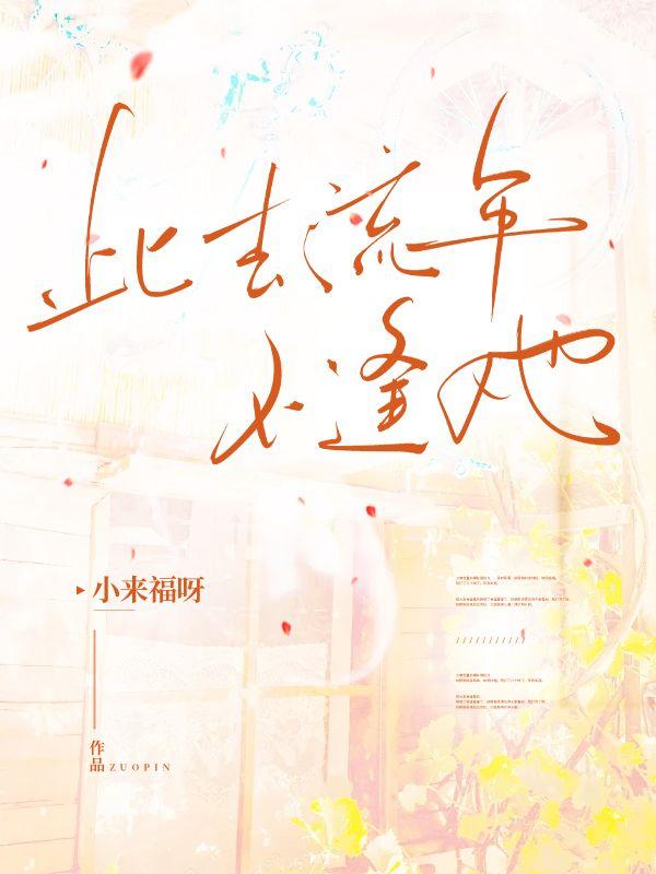 此去流年什么意思啊