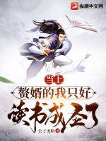 我要当赘婿