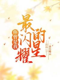 你是最闪耀的那颗星