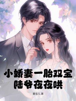 陆爷的小娇夫又甜又撩免费