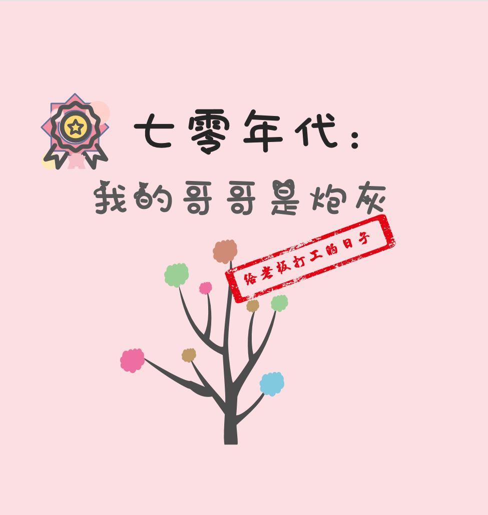七零年代我的哥哥是炮灰全文
