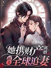 前夫全球追妻讲的什么故事