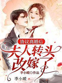 协议离婚后夫人转头改嫁了短剧免费全集
