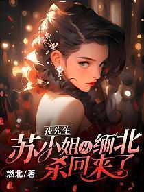 苏小姐从缅北杀回来了 第519章