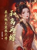 穿越和离后再嫁的