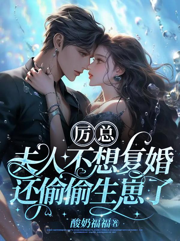 夫人不想复婚还偷偷生崽了zip