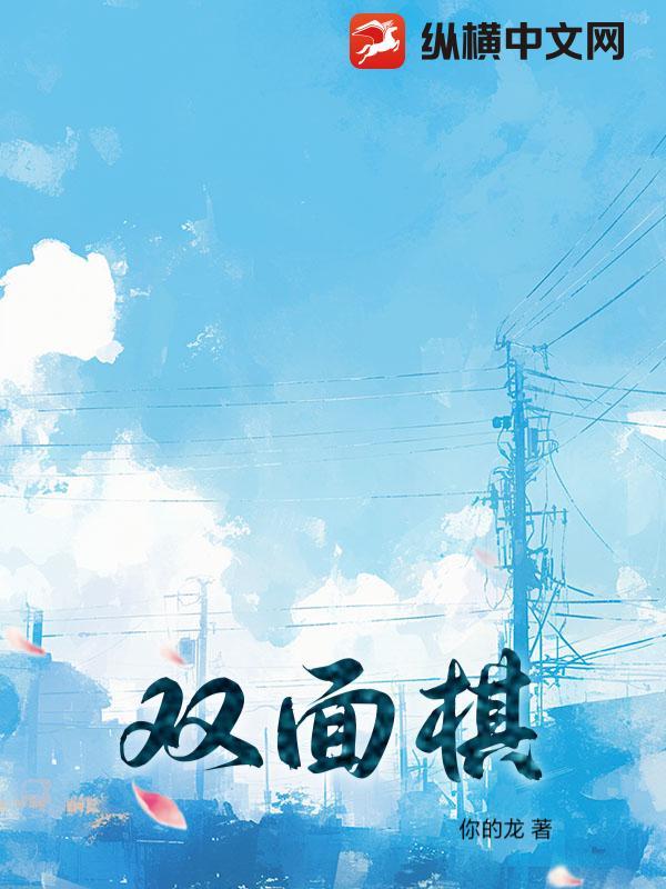 双面棋子