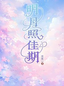 明月照佳期全文阅读