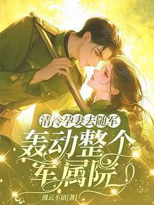 清冷孕妻去随军