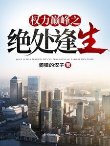权力巅峰后面是什么