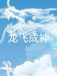 龙飞是主角的