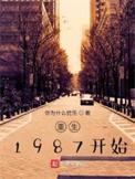 重生1987开始叶怀安
