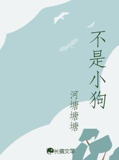 小狗的小房子中的情节是什么