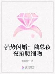 陆少请走开