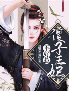 傻子王妃傻妻免费