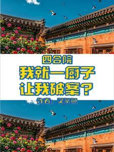四合院4进