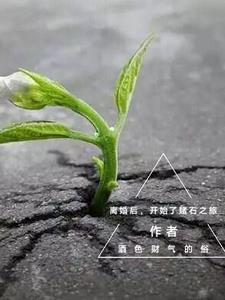 离婚之后免费阅读