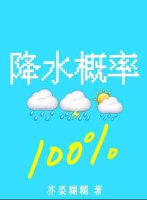 降水概率100%是什么意思