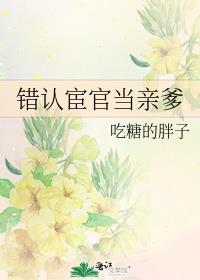 错认宦官当亲爹目录共