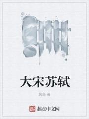 苏轼在宋朝